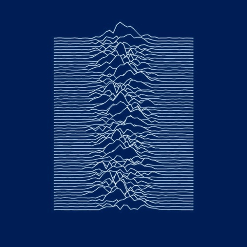 Meet your Posher, Bryan